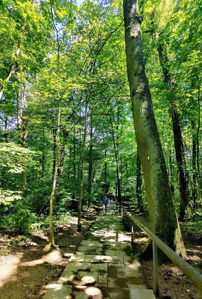 Das ist die Walhalla Wanderung vom Parkplatz durch den Wald zur Ruhmeshalle