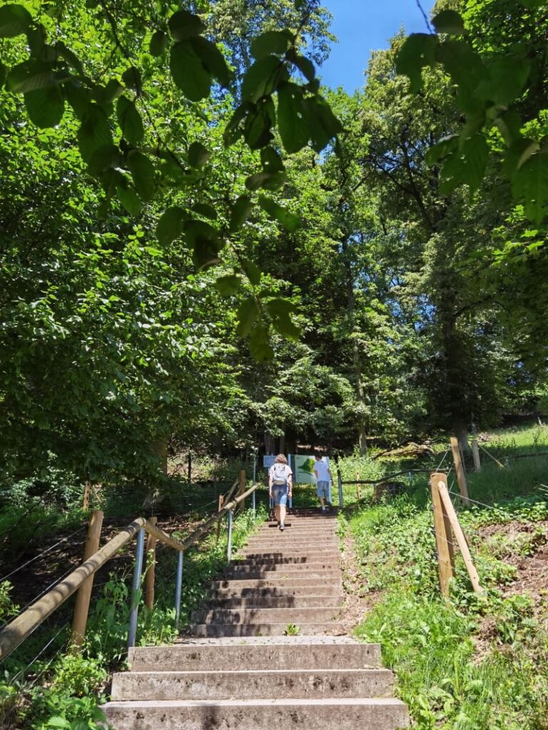 Richtung Walhalla wandern: 168 Stufen von der Donau durch den Wald