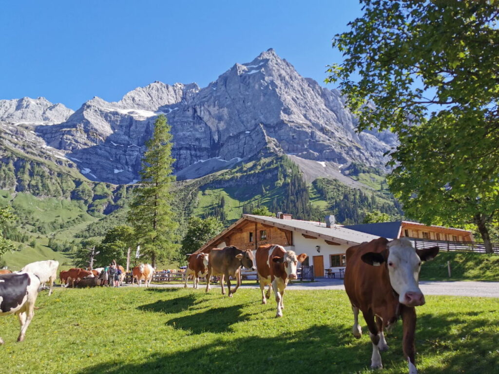 Bayern Sehenswürdigkeiten mit hohen Bergen: Das Karwendel