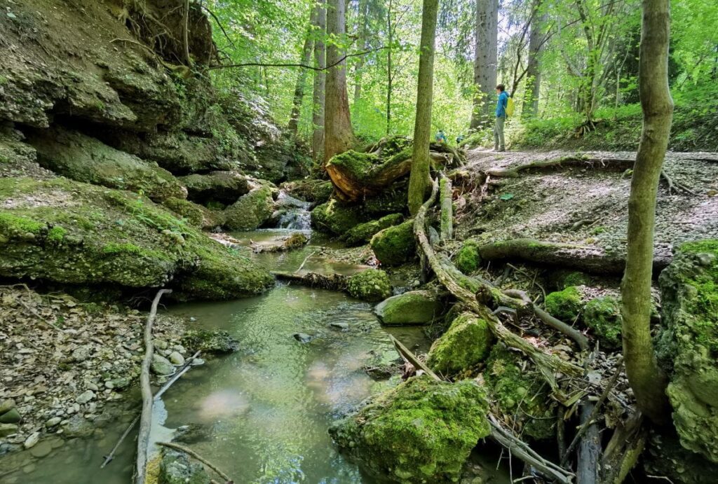 Die Maisinger Schlucht zwischen Starnberger See und Maisinger See